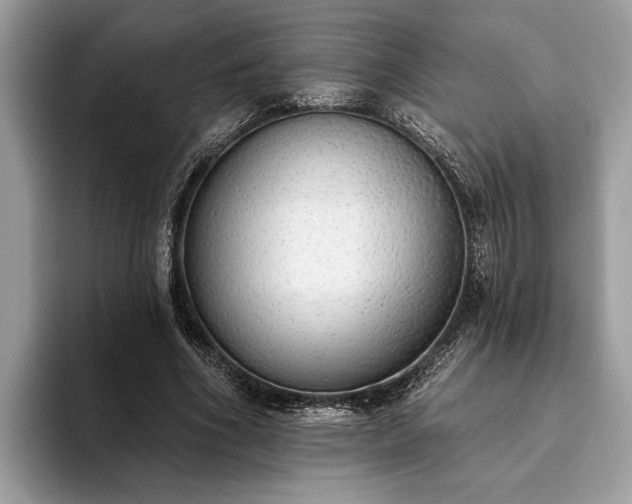 X0000093620586200710221548
