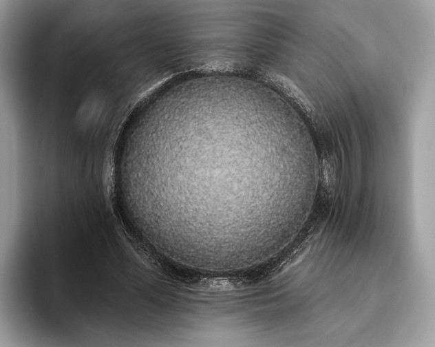 X0000093620588200710221548