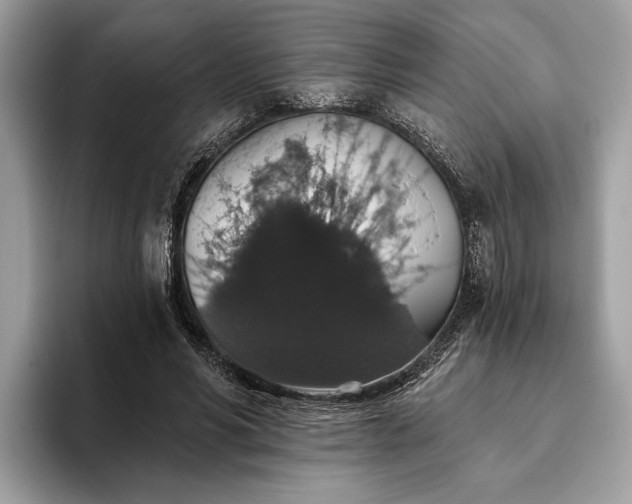 X0000093620590200710221548