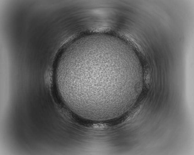 X0000093620591200710221548