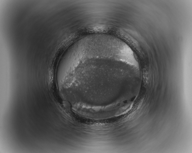 X0000093620593200710221547