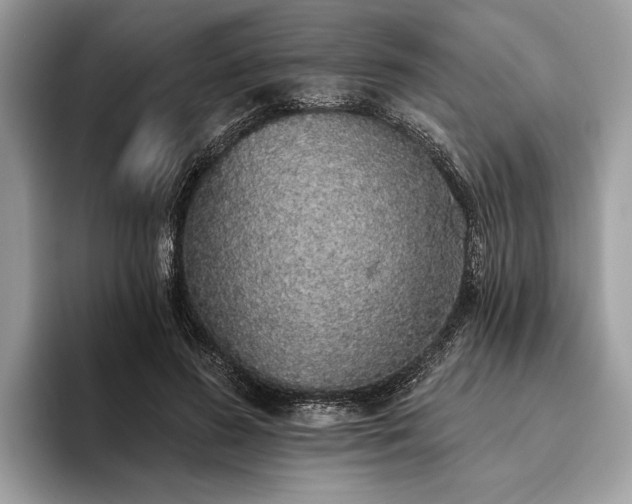 X0000093620596200710221547