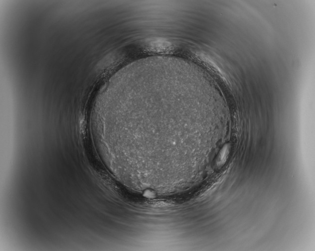 X0000093620597200710221547