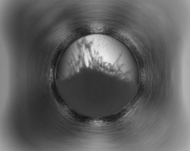 X0000093620598200710221547