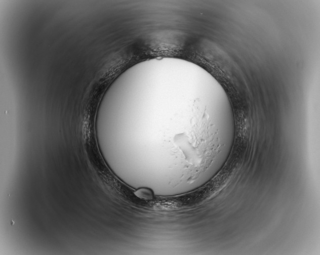 X0000093620599200710221547