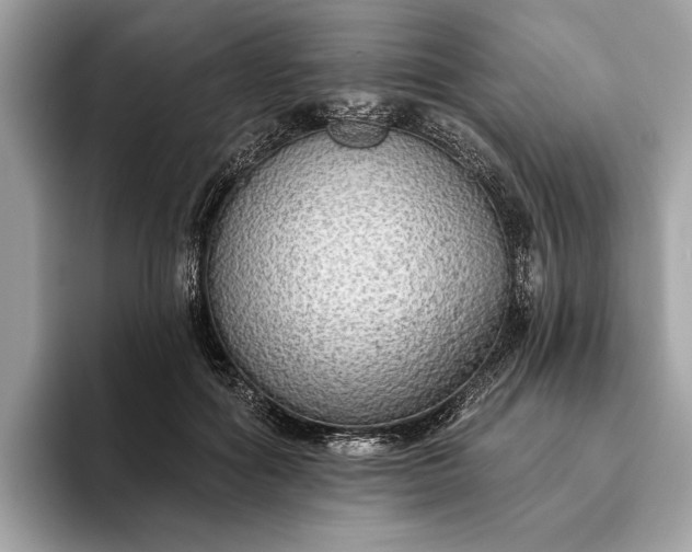 X0000093620602200710221547