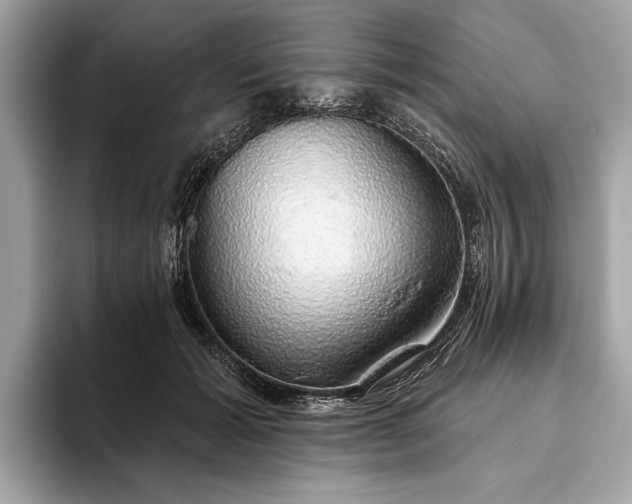 X0000093620605200710221547