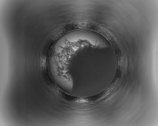 X0000093620610200710221547