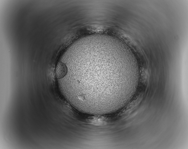X0000093620612200710221547
