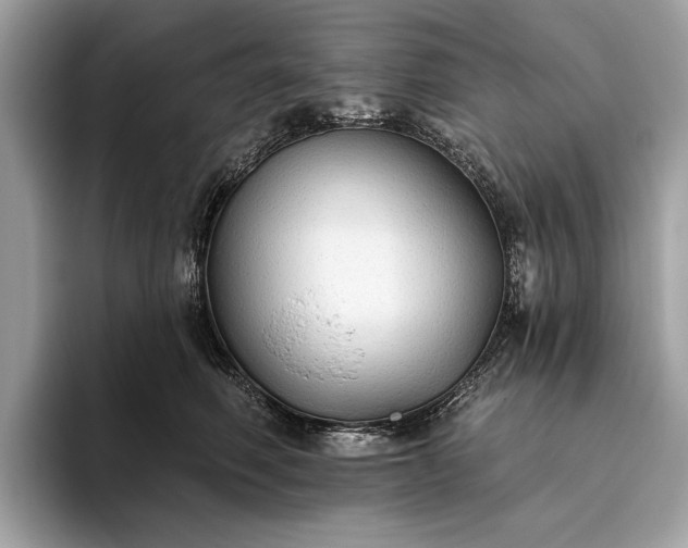 X0000093620614200710221547