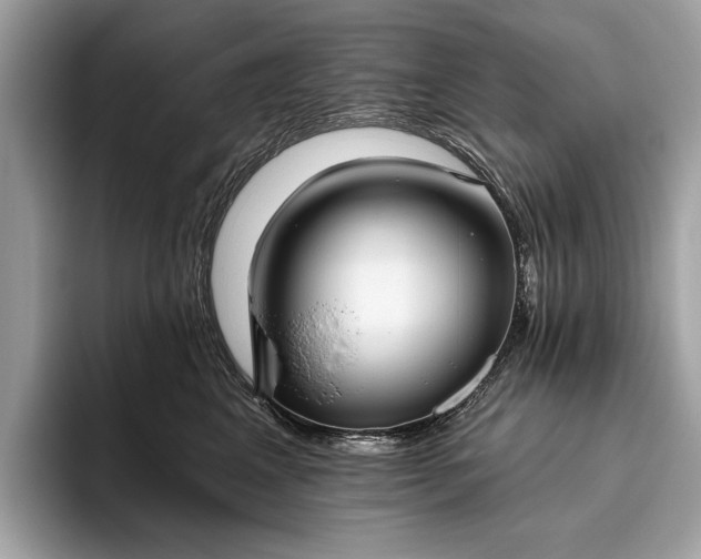 X0000093620617200710221547