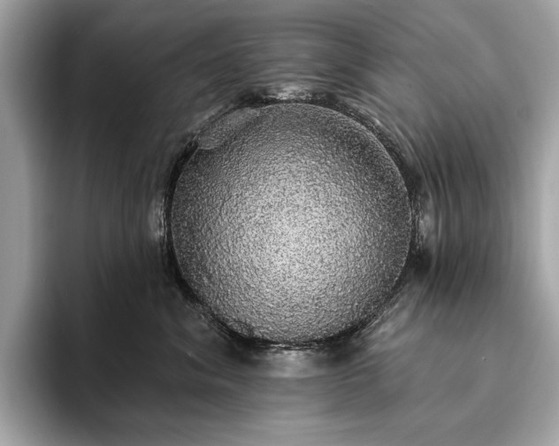 X0000093620620200710221547