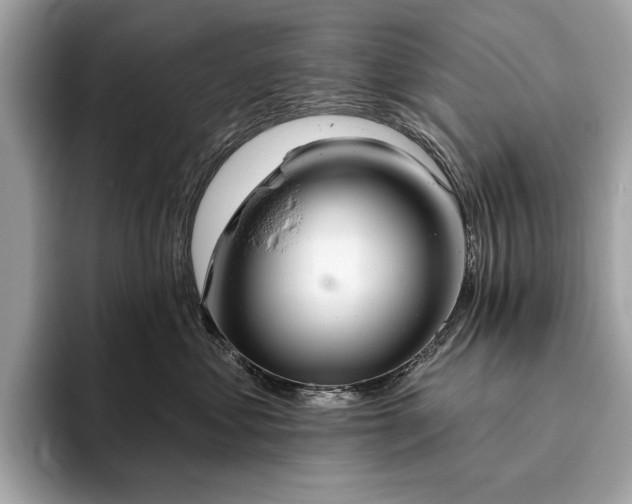 X0000093620621200710221547