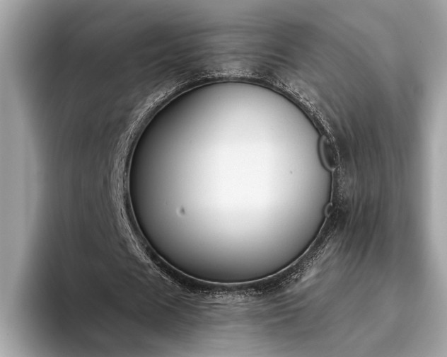X0000093620625200710221547
