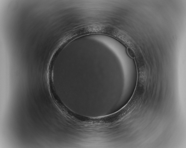 X0000093620626200710221547