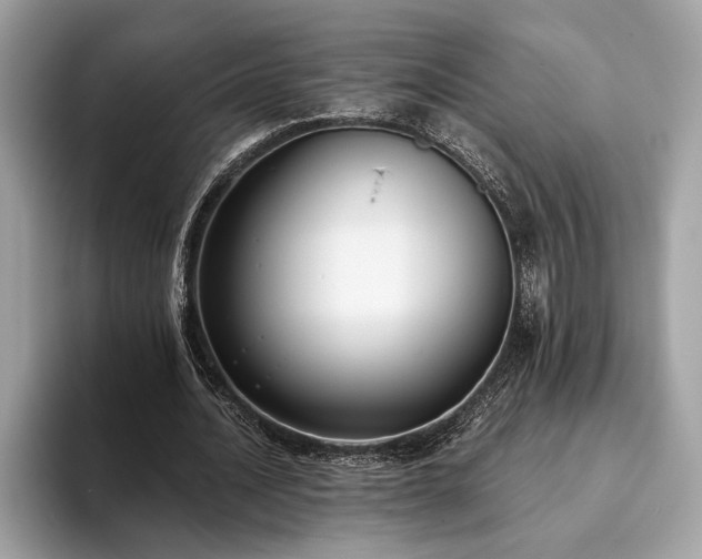 X0000093620628200710221547