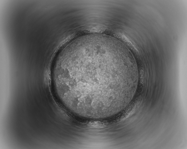 X0000093620634200710221547