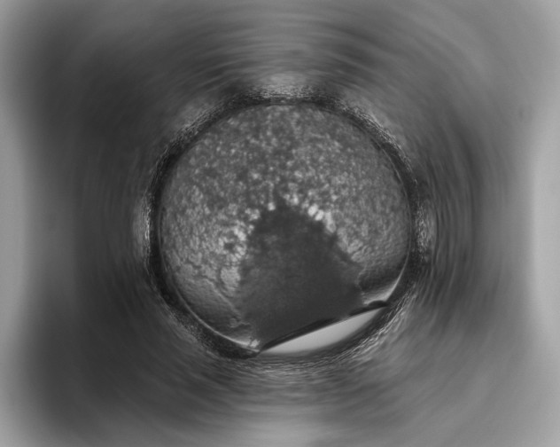 X0000093620637200710221547