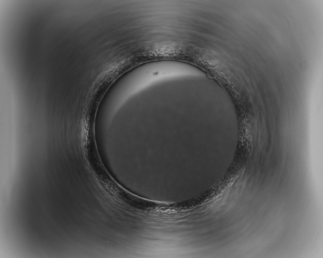 X0000093620640200710221547
