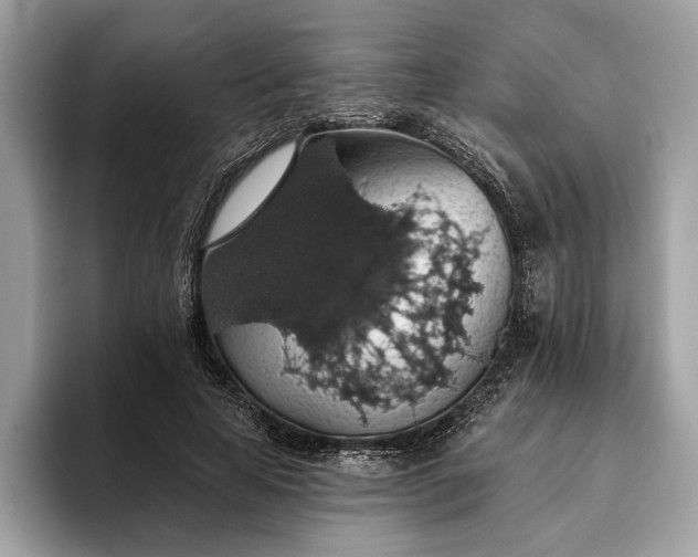 X0000093620641200710221547