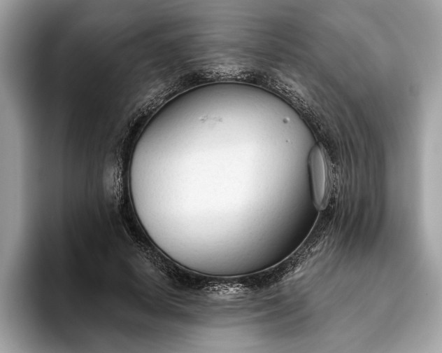 X0000093620642200710221547