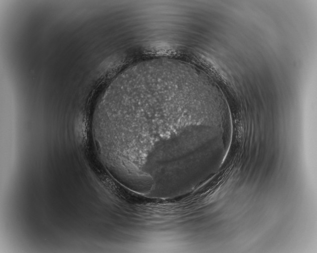 X0000093620643200710221547