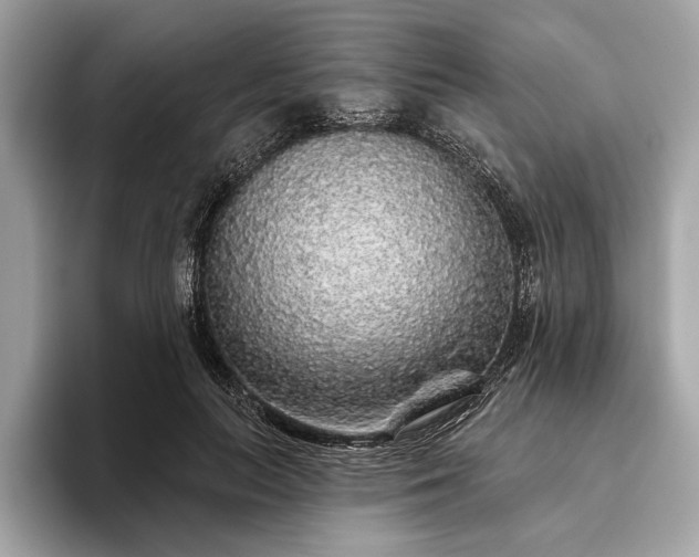 X0000093620647200710221547