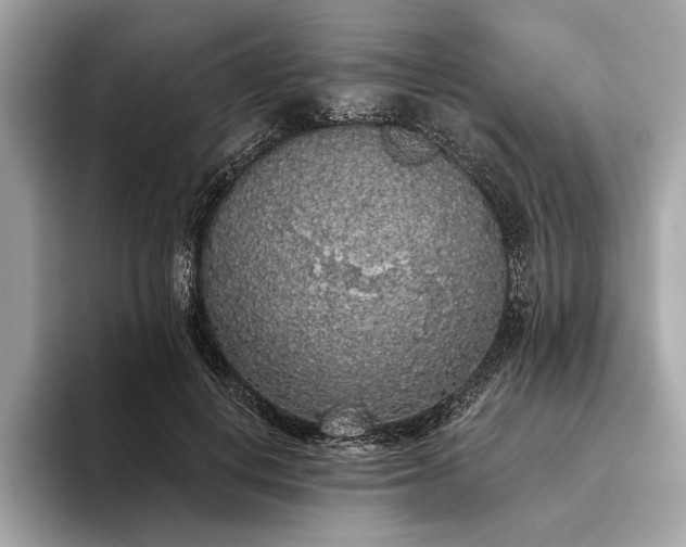 X0000093620648200710221547