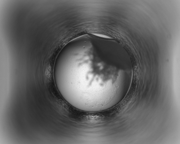 X0000093620650200710221547