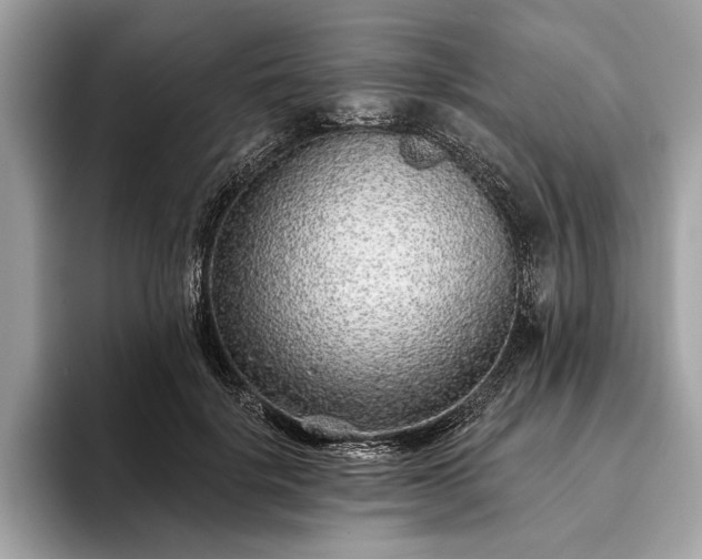 X0000093620652200710221547