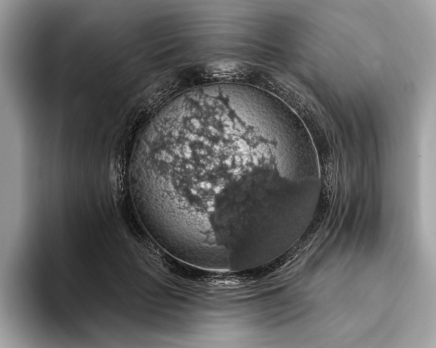 X0000093620653200710221547