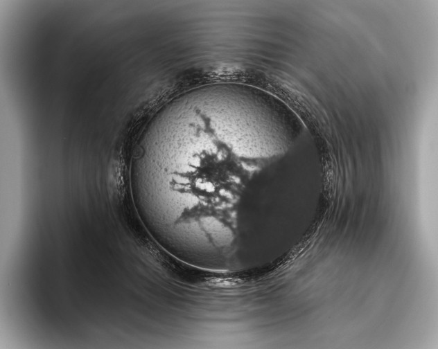 X0000093620654200710221547
