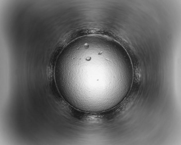 X0000093620657200710221547
