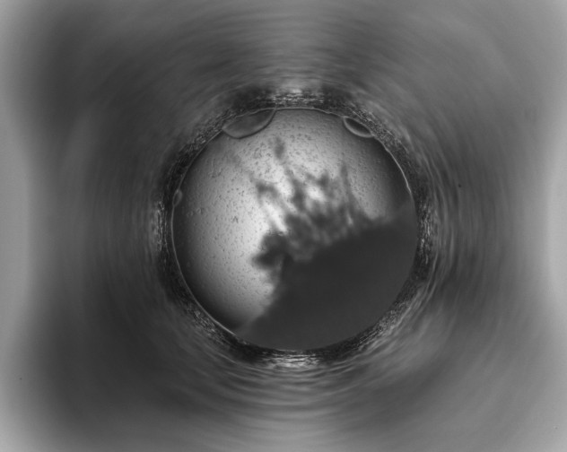 X0000093620659200710221547