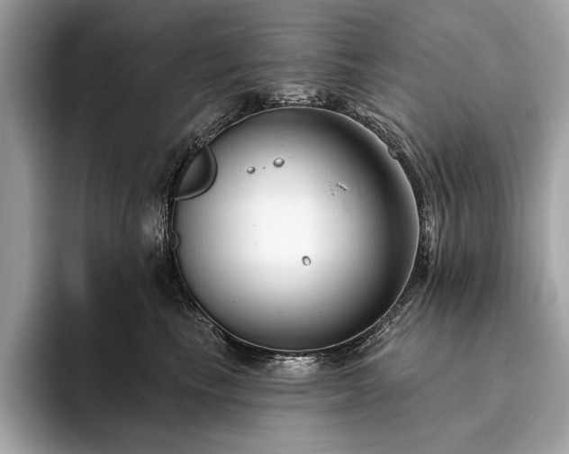 X0000093620665200710221547