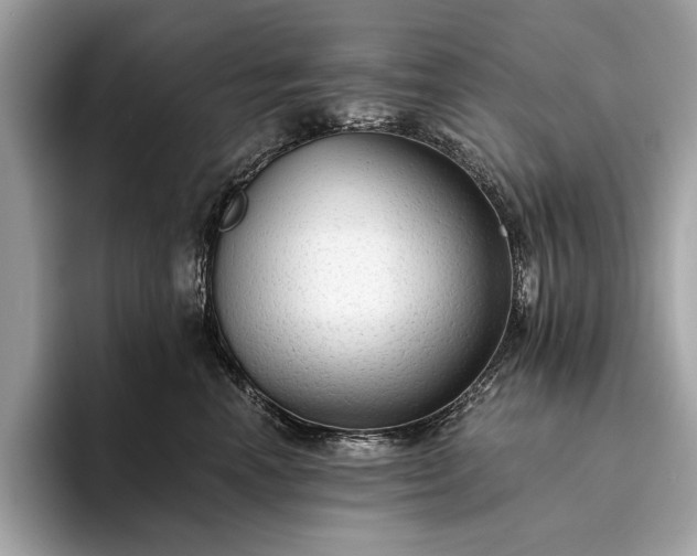 X0000093620666200710221547