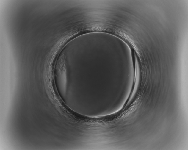 X0000093620673200710221547