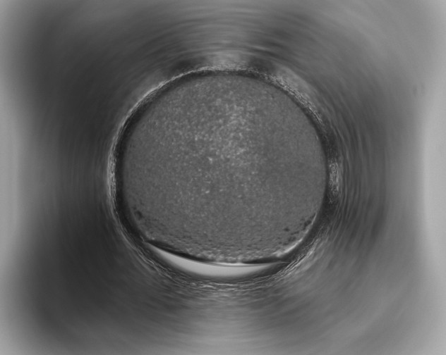 X0000093620676200710221547