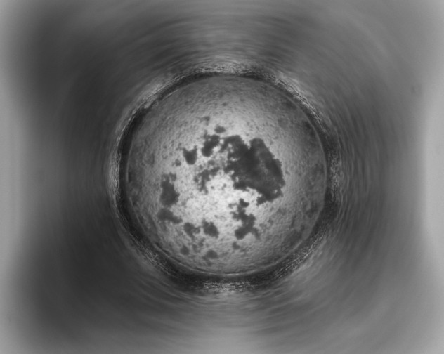 X0000093620679200710221546