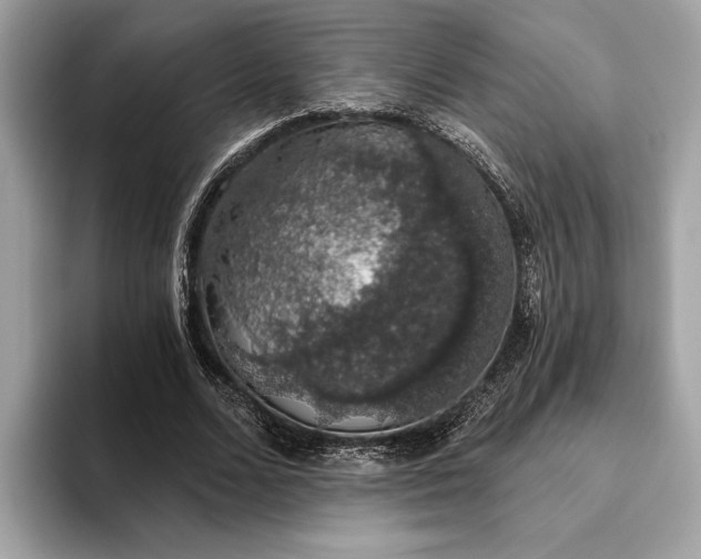 X0000093620680200710221546