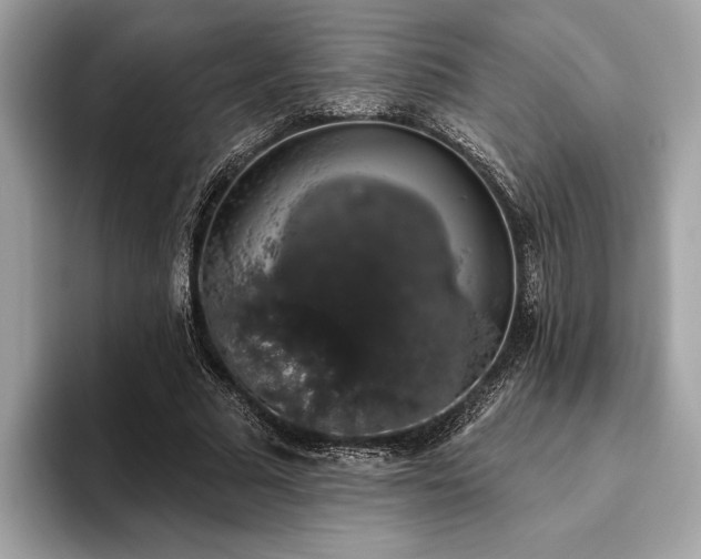 X0000093620681200710221546