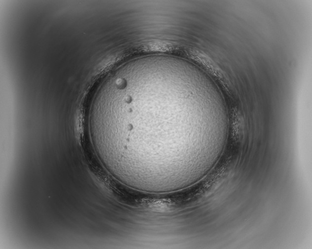 X0000093620683200710221546