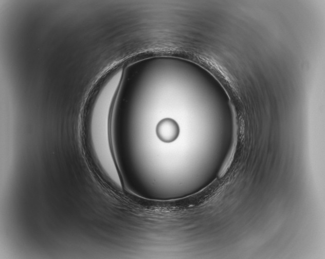 X0000093620684200710221546
