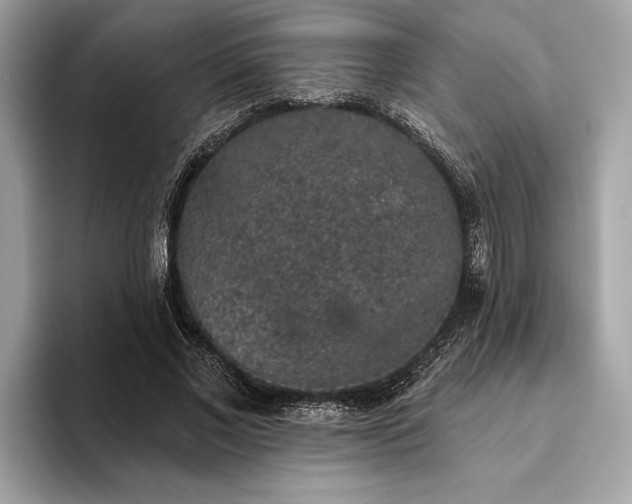 X0000093620685200710221546