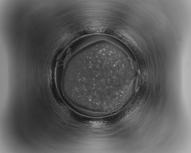 X0000093620693200710221546
