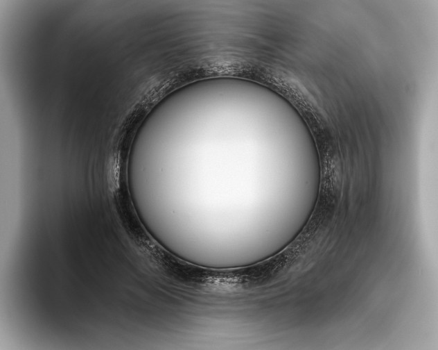 X0000093620694200710221546