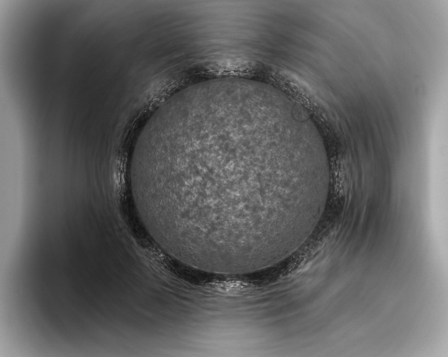 X0000093620695200710221546