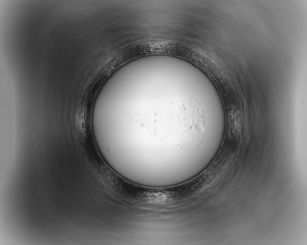 X0000093620698200710221546