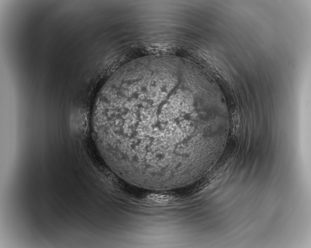 X0000093620699200710221546