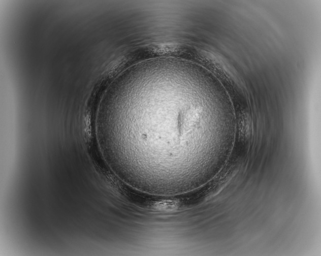 X0000093620700200710221546